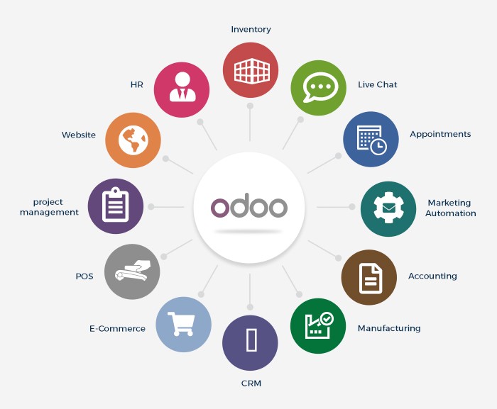 Odoo Setup and Customization