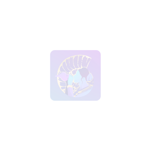 Opal Dinner Plate 195-O I FREE DELIVERY 9332223