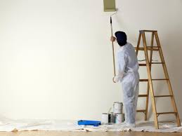 Painter male/hulhumale/villingili-7280284