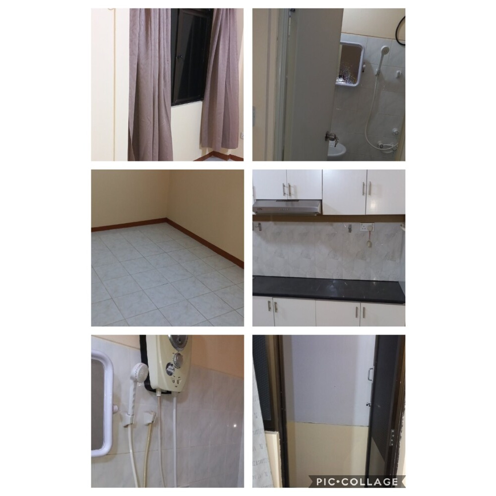 2 room apartment for rent