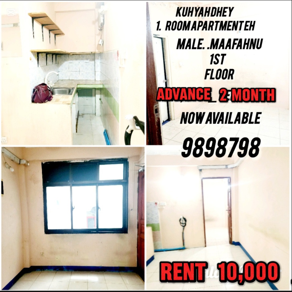 1 room apartment now available ,9898798