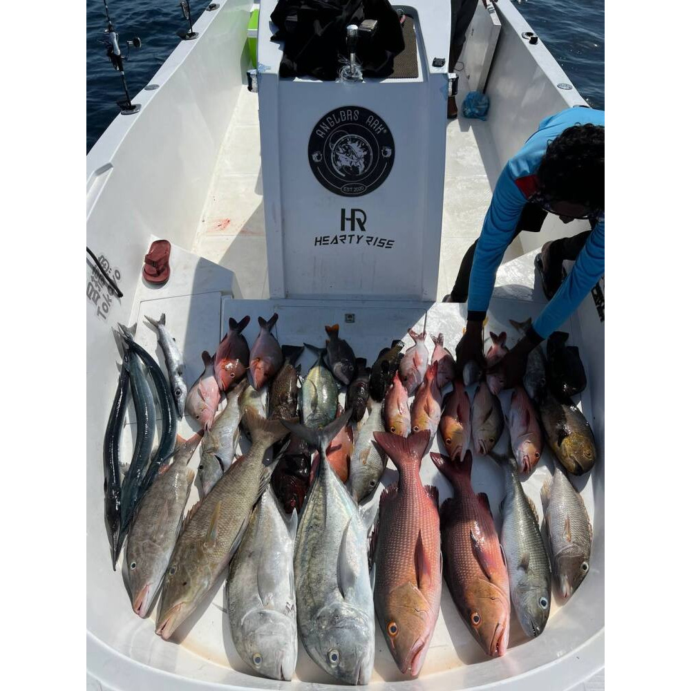 Fishing trips / boat service